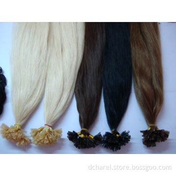 Top Quality Keratin Hair Extension (WHH-KUl--008)